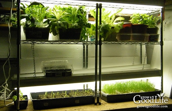 Build a Grow Light System for Starting Seeds Indoors