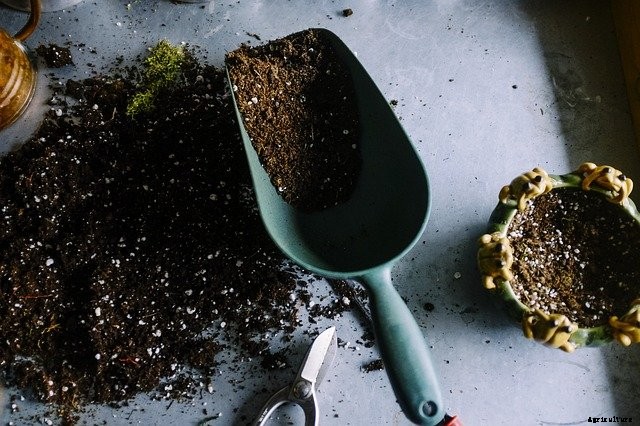 What is the difference between potting soil and potting mix?