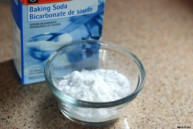 Is baking soda good for plants?