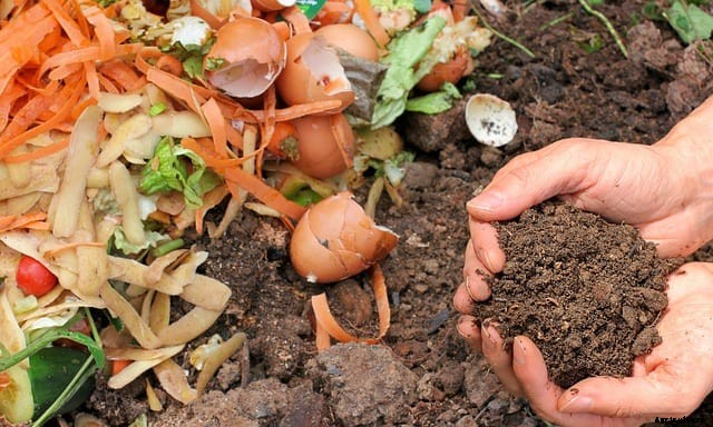 What’s the Best Mulch for Vegetable Gardens?