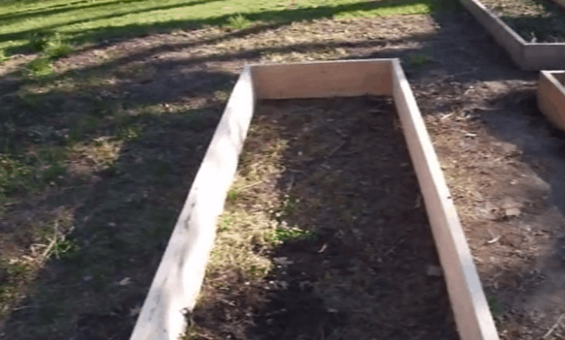 Should I Put Rocks in the Bottom of My Raised Garden Bed?