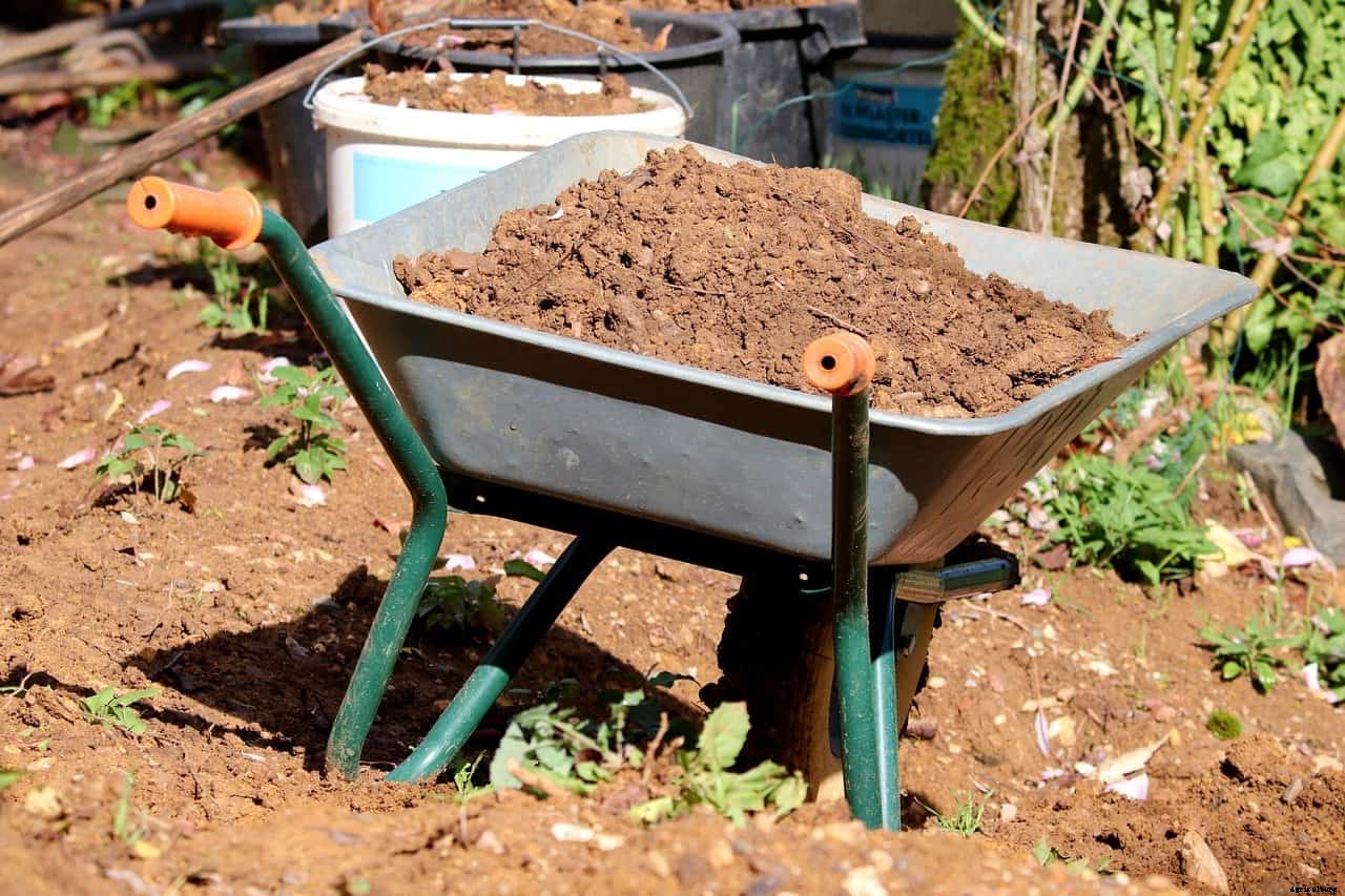 Can You Use Flower Potting Soil for Vegetables?