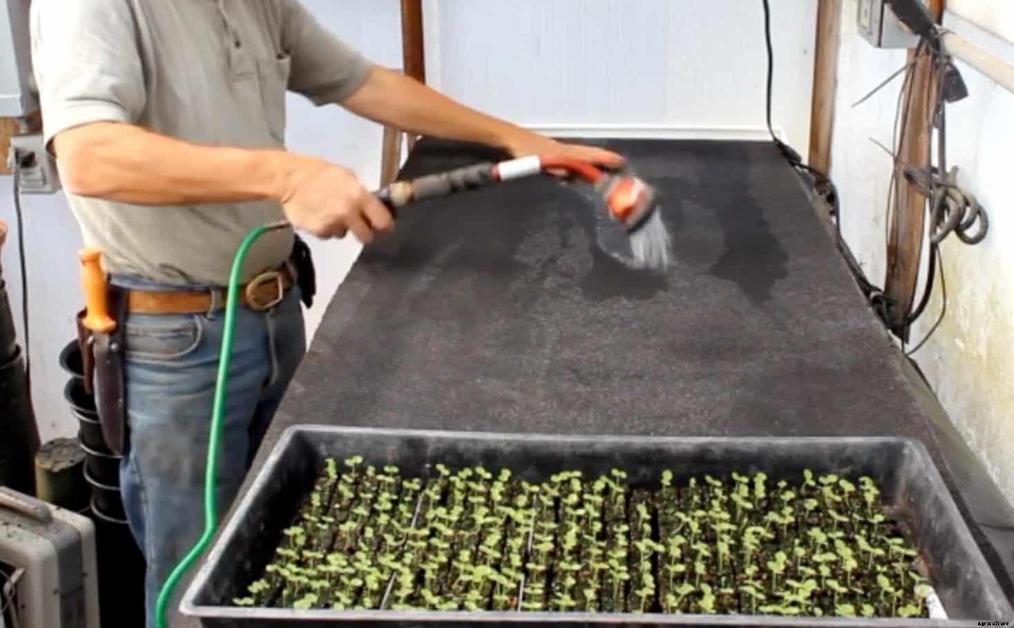 How and Why to Use Water-Storing Capillary Mats