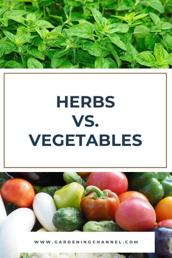 Herbs vs. Vegetables, Explained