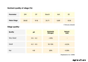 Silage – the best economical alternate while scarcity of green fodder is evitable