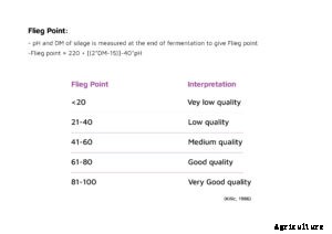 Silage – the best economical alternate while scarcity of green fodder is evitable