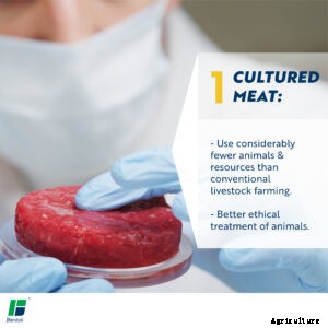 Food Technologies: Creating sustainable food systems