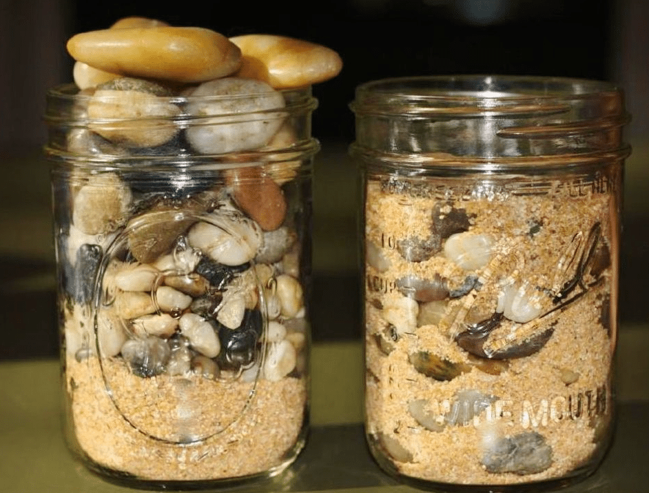 News you may have missed