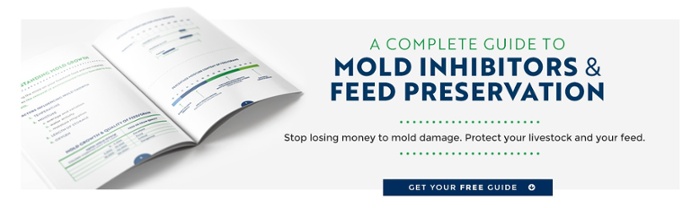 Mycotoxins in Aquaculture: How to Avoid Losing Fish, Feed, & Profits