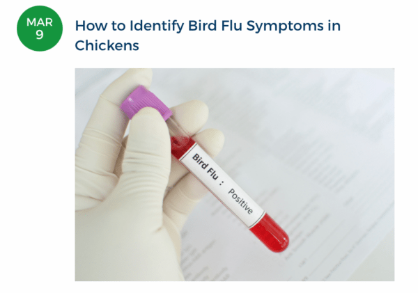 Our 3 Most Popular Agriculture Blogs of 2017 (Thanks to you)