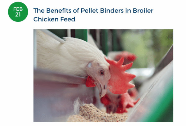 Our 3 Most Popular Agriculture Blogs of 2017 (Thanks to you)