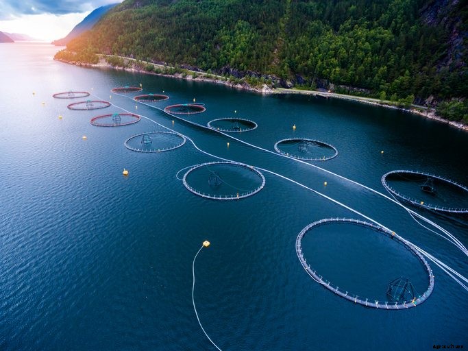 The 4 Biggest Trends Coming to Aquaculture in 2018 and Beyond