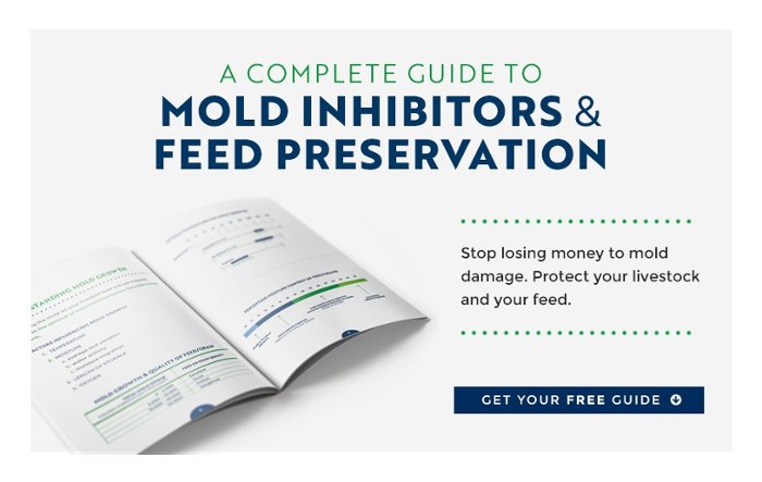 The 4 Biggest Trends Coming to Aquaculture in 2018 and Beyond