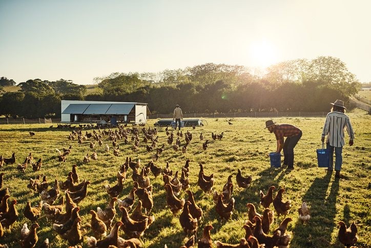 4 of the Top Global Animal Agriculture Issues in 2017