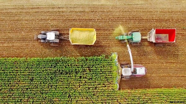 The 6 Weirdest Farming and Agriculture Facts You’ve Never Heard Before