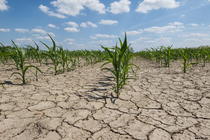 Effect of Drought on Agriculture: California’s Dilemma