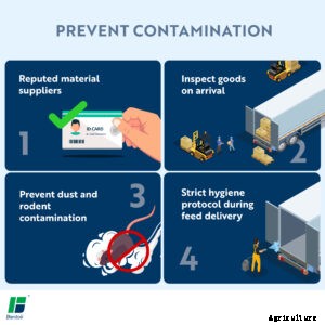 Managing Salmonella contamination for  improving feed hygiene