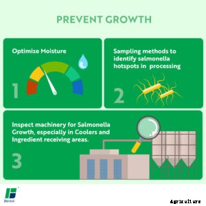 Managing Salmonella contamination for  improving feed hygiene