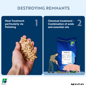 Managing Salmonella contamination for  improving feed hygiene