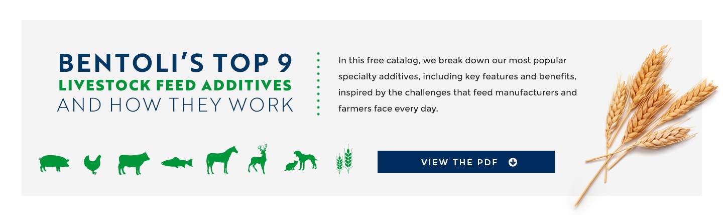 Taking Goat Nutrition to the Next Level