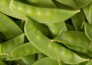 Chinese Snow Peas: Essential Tips for Garden Growing