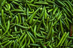 Korean Long Green Peppers – Why You Should Grow it