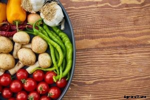 Korean Long Green Peppers – Why You Should Grow it