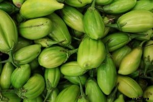 Asian Eggplant: Top Varieties & Growing Guide