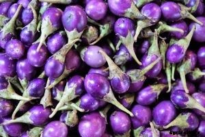 Asian Eggplant: Top Varieties & Growing Guide
