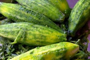 Bitter Melon | How to Grow Momordica Charantia: Expert Tips and Advice