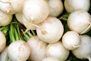 Daikon Radish – Tips for Growing, Storing and Using this Root Vegetable