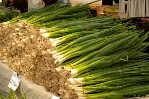 The Bunching Onion Complete Care Guide