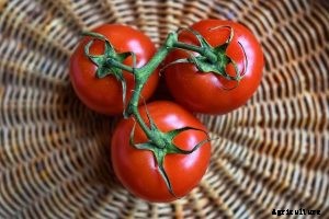 Discovering the Momotaro Tomato: Review and Growing Guide