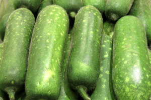 Discovering Chinese Squash | How to Grow Your Own at Home