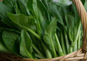 A Choy Gardening and Growing Tips – A Very Popular Leafy Green Vegetable in Taiwan