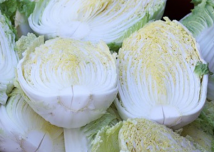 Korean Cabbage Care and Growing Instructions