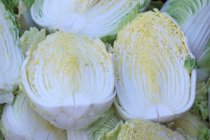 Korean Cabbage Care and Growing Instructions