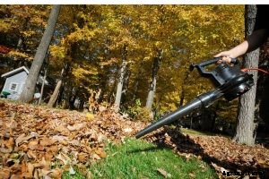 Echo pb-580t vs Husqvarna 150bt: Which One’s Got More Power?