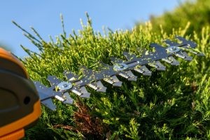 Black and Decker ht20 Review: Is This Trimmer up To Tackling Your Hedge?
