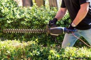 Black and Decker ht20 Review: Is This Trimmer up To Tackling Your Hedge?