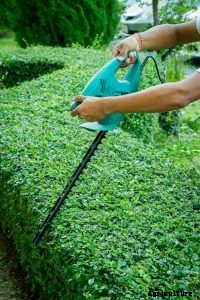 Greenworks 22342 Review: Extend Your Reach With This Cordless Hedge Trimmer