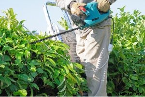 Toro 51490 Review: An Affordable Electric Hedge Trimmer for Small Gardens