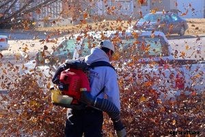 DeWalt DCE100B Review: Compact and Ultra-Light, but Does It Work?