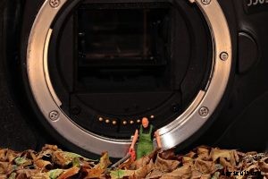 Makita bhx2500ca Review: Big Gas Tank, but How’s the Power?