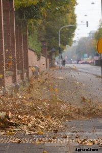 Makita bhx2500ca Review: Big Gas Tank, but How’s the Power?