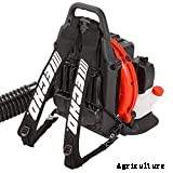 Echo pb 755st Review: A Powerful Blower With Year-Round Versatility