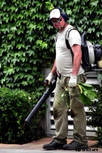 Husqvarna 125bvx Review: A Powerful Blower/Mulcher/Vacuum for Residential Use