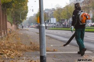 Echo pb 755st Review: A Powerful Blower With Year-Round Versatility