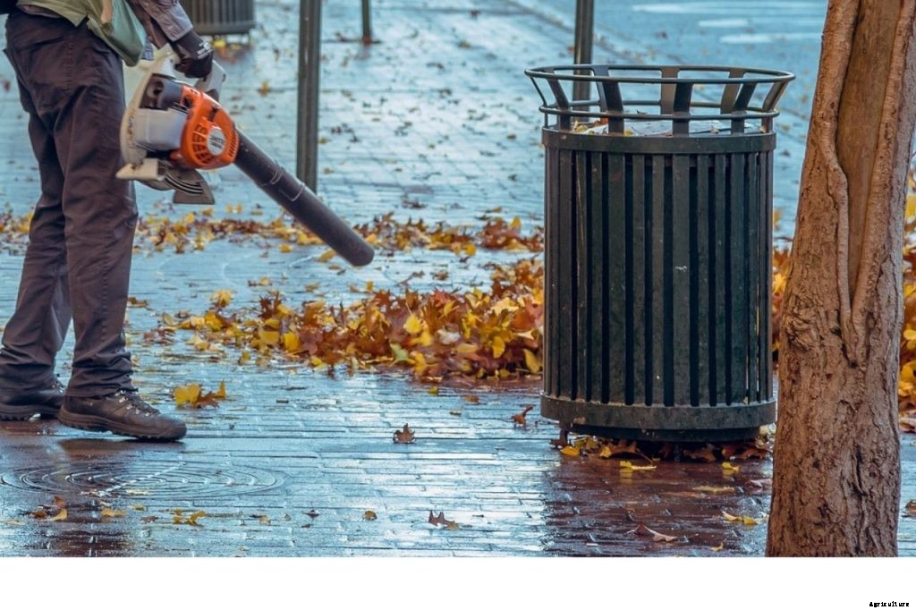 Husqvarna 560bts Gas Blower: How it Rates on Performance and Value