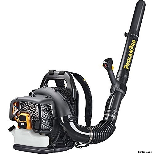 Best Gas Leaf Blower: Which of These 5 Takes the Title 